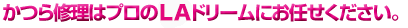 かつら修理はプロのLAドリームにお任せください